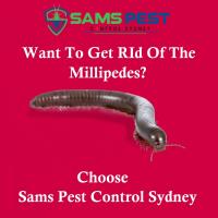 SAMS Millipedes Control Sydney image 12
